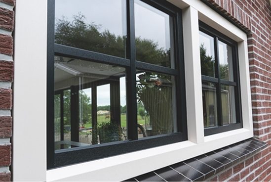 Zwarte ramen met witte omlijsting, uitzicht op een tuin.